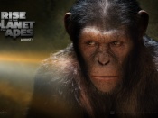 rise of the planet of the apes wallpaper1 1680